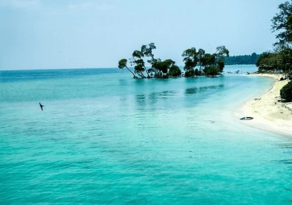 6 Nights - 7 Days Andaman Honeymoon Package